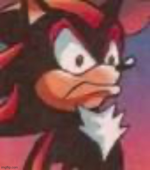 Shadow the Hedgehog | image tagged in shadow the hedgehog | made w/ Imgflip meme maker