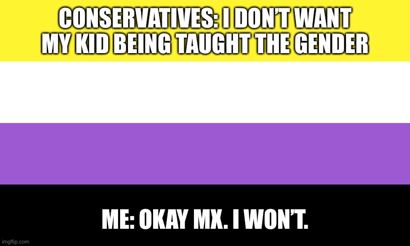 I guess all of the Florida children are non-binary now. | CONSERVATIVES: I DON’T WANT MY KID BEING TAUGHT THE GENDER; ME: OKAY MX. I WON’T. | image tagged in nonbinary,memes,lgbtq | made w/ Imgflip meme maker