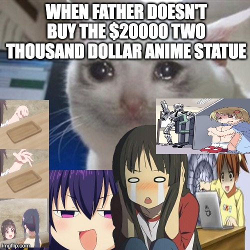 Can anyone relate?? | WHEN FATHER DOESN'T BUY THE $20000 TWO THOUSAND DOLLAR ANIME STATUE | image tagged in crying cat,memes,funny,anime | made w/ Imgflip meme maker