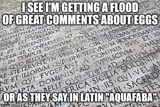 Latin | I SEE I'M GETTING A FLOOD OF GREAT COMMENTS ABOUT EGGS; OR AS THEY SAY IN LATIN "AQUAFABA" | image tagged in latin | made w/ Imgflip meme maker