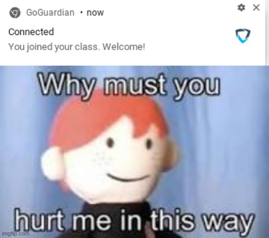 why but why | image tagged in why must you hurt me in this way | made w/ Imgflip meme maker