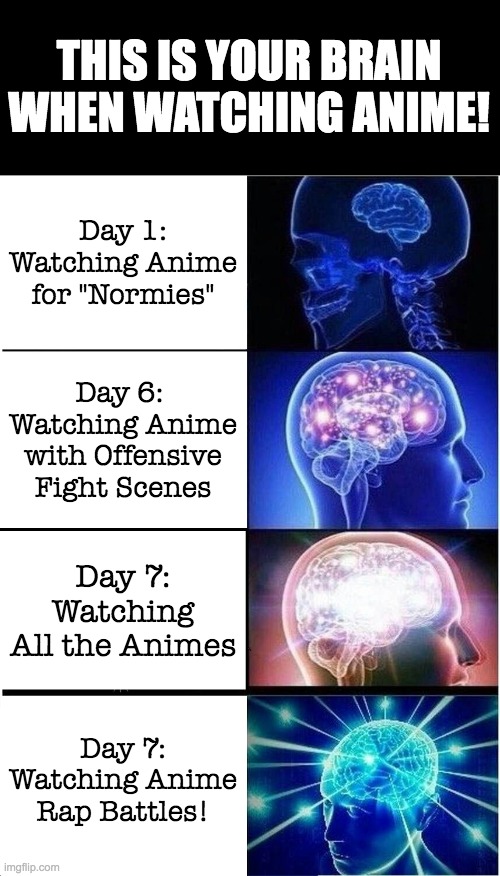 This is your brain on Anime! | THIS IS YOUR BRAIN WHEN WATCHING ANIME! Day 1: Watching Anime for "Normies"; Day 6: 
Watching Anime with Offensive Fight Scenes; Day 7: Watching All the Animes; Day 7:
Watching Anime Rap Battles! | image tagged in memes,expanding brain,funny,anime | made w/ Imgflip meme maker
