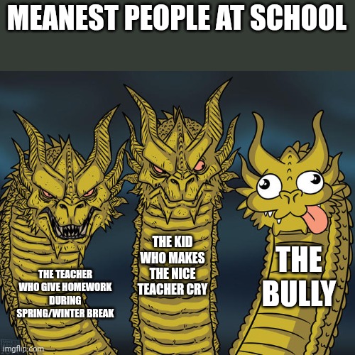 Meanest kidz @ school | MEANEST PEOPLE AT SCHOOL; THE KID WHO MAKES THE NICE TEACHER CRY; THE BULLY; THE TEACHER WHO GIVE HOMEWORK DURING SPRING/WINTER BREAK | image tagged in three-headed dragon,school | made w/ Imgflip meme maker