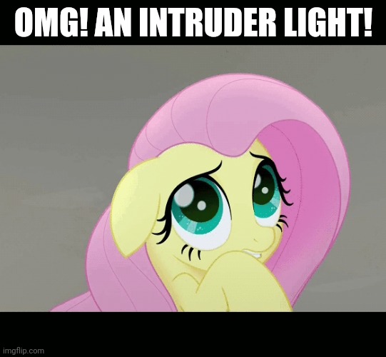 OMG! AN INTRUDER LIGHT! | made w/ Imgflip meme maker