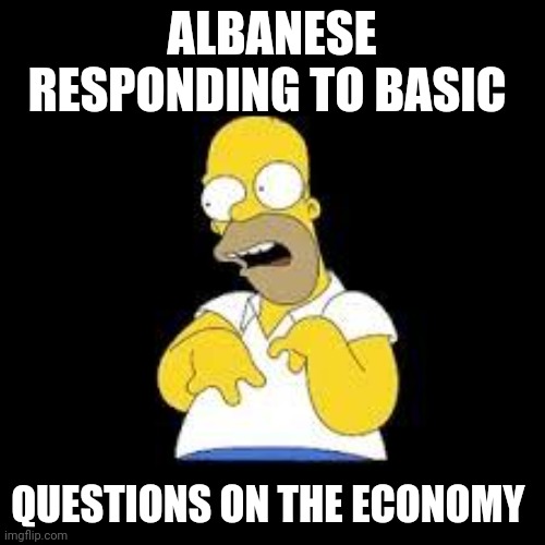 Look Marge | ALBANESE RESPONDING TO BASIC; QUESTIONS ON THE ECONOMY | image tagged in look marge | made w/ Imgflip meme maker