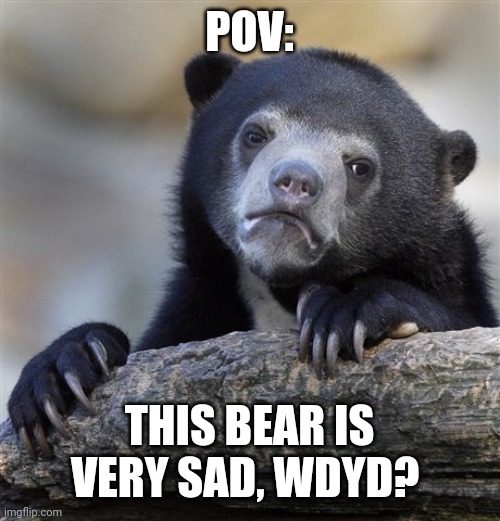 Confession Bear | POV:; THIS BEAR IS VERY SAD, WDYD? | image tagged in memes,confession bear | made w/ Imgflip meme maker