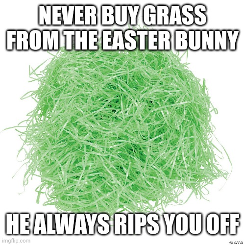 Easter Bunny dealing |  NEVER BUY GRASS FROM THE EASTER BUNNY; HE ALWAYS RIPS YOU OFF | image tagged in grass,easter,easter bunny,weed | made w/ Imgflip meme maker