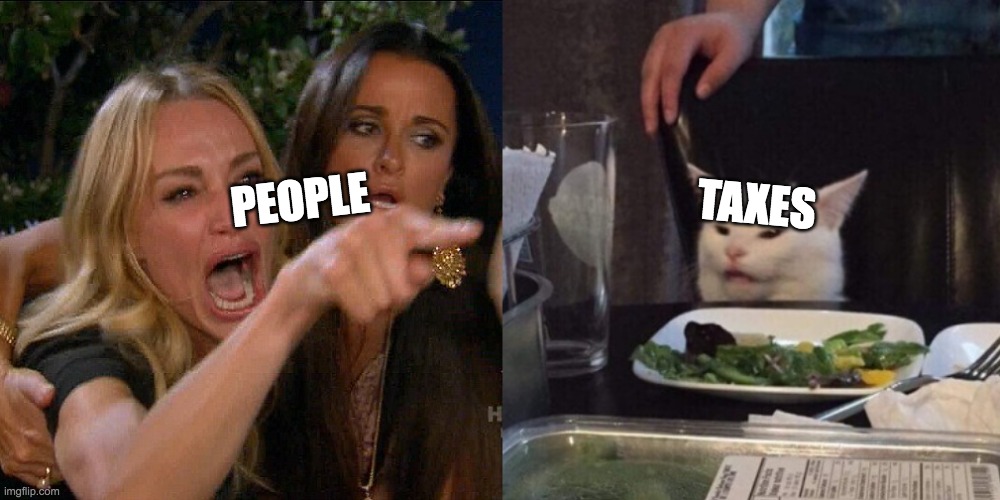 Woman yelling at cat | PEOPLE; TAXES | image tagged in woman yelling at cat | made w/ Imgflip meme maker