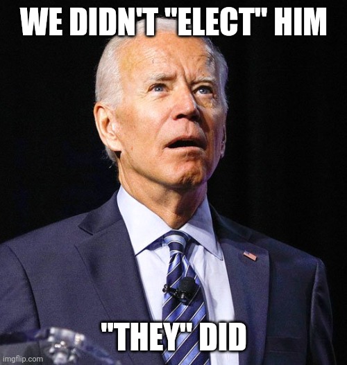 Joe Biden | WE DIDN'T "ELECT" HIM "THEY" DID | image tagged in joe biden | made w/ Imgflip meme maker