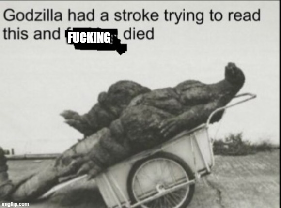 Godzila had a stroke trying to read this | FUCKING | image tagged in godzila had a stroke trying to read this | made w/ Imgflip meme maker