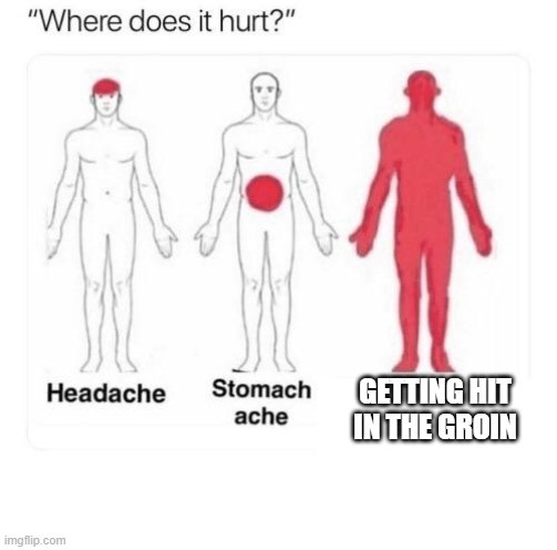 nuts are food, not an innuendo!!! |  GETTING HIT IN THE GROIN | image tagged in where does it hurt | made w/ Imgflip meme maker