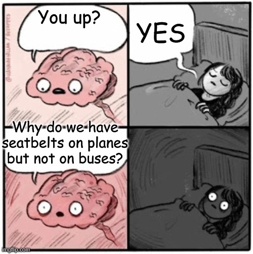 Planes and buses | YES; You up? Why do we have seatbelts on planes but not on buses? | image tagged in brain before sleep,memes,funny,funny memes,planes,philosophy | made w/ Imgflip meme maker