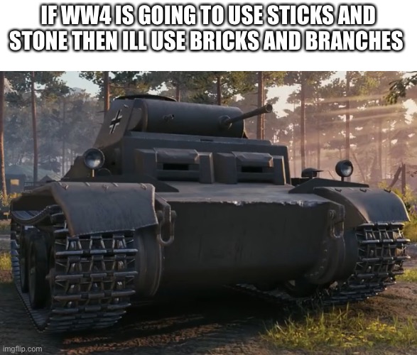 Unsure panzer | IF WW4 IS GOING TO USE STICKS AND STONE THEN ILL USE BRICKS AND BRANCHES | image tagged in unsure panzer,ww4 sticks and stones | made w/ Imgflip meme maker