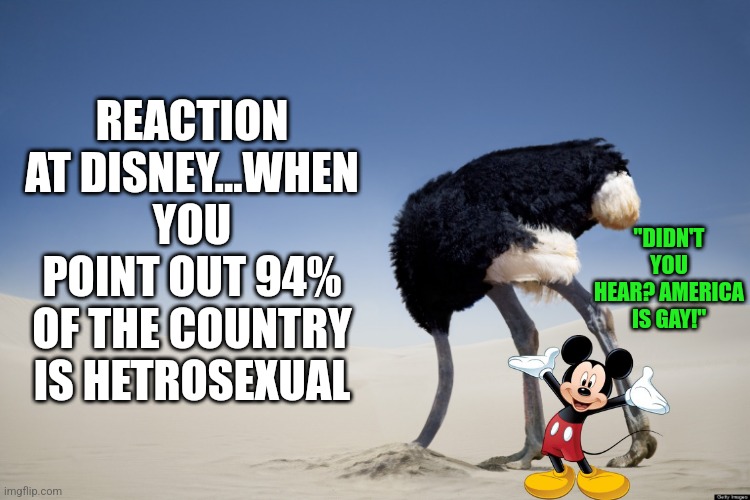 Percentages, the Achilles heel of liberalism and Disney. | REACTION AT DISNEY...WHEN YOU POINT OUT 94% OF THE COUNTRY IS HETROSEXUAL; "DIDN'T YOU HEAR? AMERICA IS GAY!" | image tagged in ostrich head in sand,disney,lgbtq,expectation vs reality,liberal logic,hype | made w/ Imgflip meme maker
