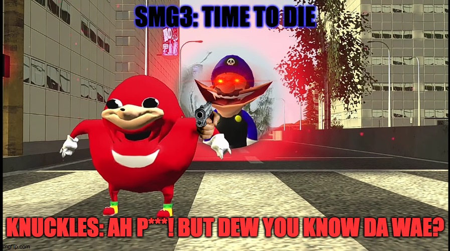 SMG3 is going to kill Terrence! | SMG3: TIME TO DIE; KNUCKLES: AH P***! BUT DEW YOU KNOW DA WAE? | image tagged in smg3 is looks cursed | made w/ Imgflip meme maker