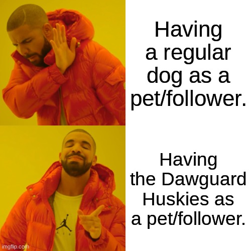 Drake Hotline Bling Meme | Having a regular dog as a pet/follower. Having the Dawguard Huskies as a pet/follower. | image tagged in memes,drake hotline bling | made w/ Imgflip meme maker