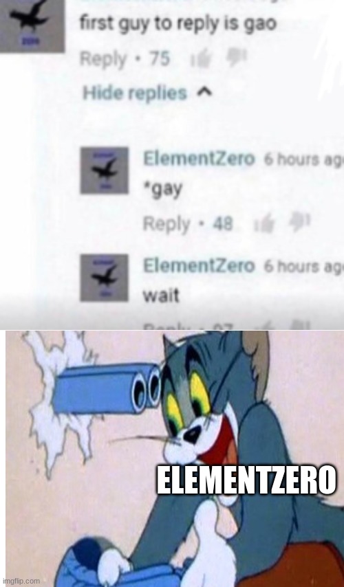 whoops | ELEMENTZERO | image tagged in blank white template,elementsike,sike,fool | made w/ Imgflip meme maker