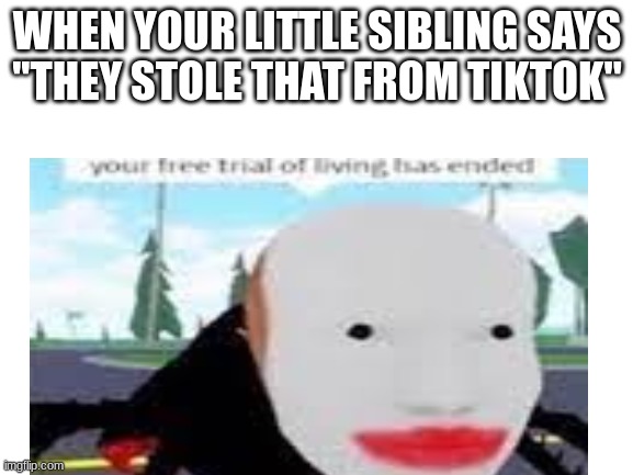 not my Roblox image. |  WHEN YOUR LITTLE SIBLING SAYS


''THEY STOLE THAT FROM TIKTOK'' | image tagged in funny,relatable,siblings,roblox meme,roblox,family | made w/ Imgflip meme maker