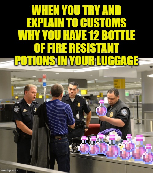 WHEN YOU TRY AND EXPLAIN TO CUSTOMS WHY YOU HAVE 12 BOTTLE OF FIRE RESISTANT POTIONS IN YOUR LUGGAGE | made w/ Imgflip meme maker