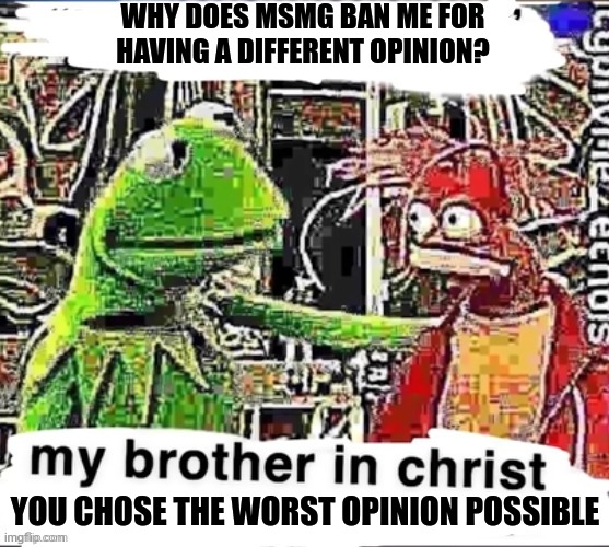 My brother in christ | WHY DOES MSMG BAN ME FOR HAVING A DIFFERENT OPINION? YOU CHOSE THE WORST OPINION POSSIBLE | image tagged in my brother in christ | made w/ Imgflip meme maker