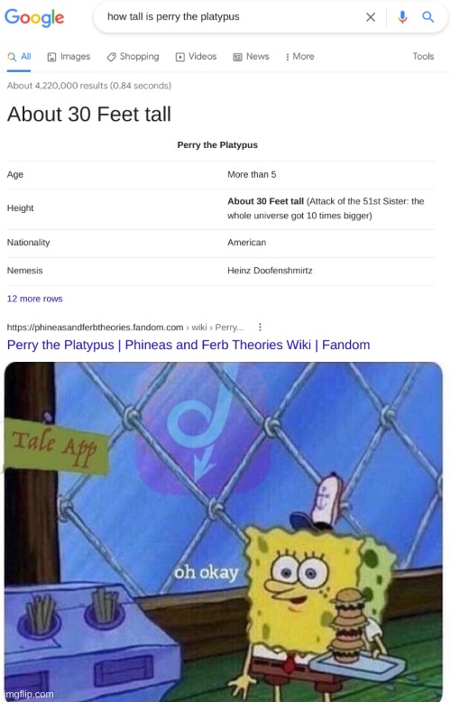 perry the platypus???? | image tagged in oh okay spongebob,funny,memes,funny memes,barney will eat all of your delectable biscuits,phineas and ferb | made w/ Imgflip meme maker