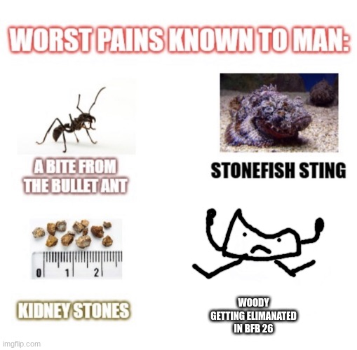 Worst pains known to man | WOODY GETTING ELIMANATED IN BFB 26 | image tagged in worst pains known to man | made w/ Imgflip meme maker
