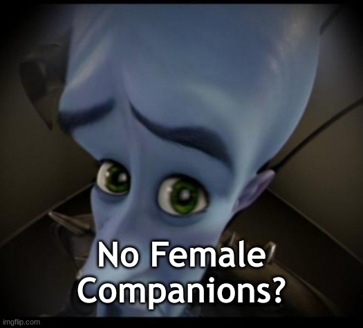 Megamind peeking | No Female Companions? | image tagged in no bitches | made w/ Imgflip meme maker