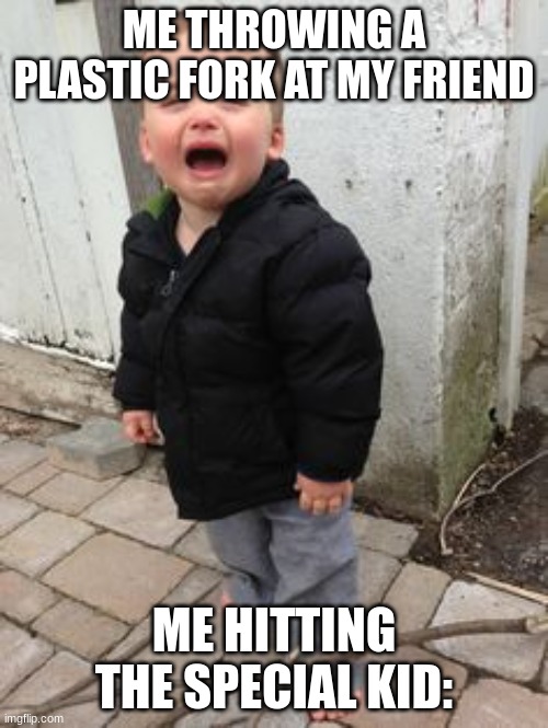 Crying kid | ME THROWING A PLASTIC FORK AT MY FRIEND; ME HITTING THE SPECIAL KID: | image tagged in crying kid | made w/ Imgflip meme maker