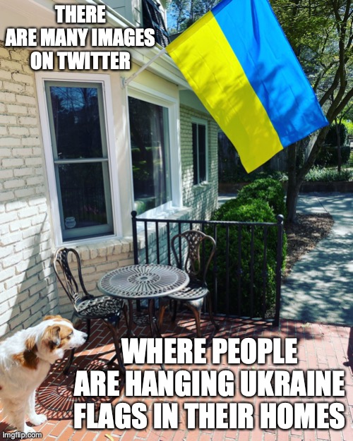 Ukraine Flag in Front Porch | THERE ARE MANY IMAGES ON TWITTER; WHERE PEOPLE ARE HANGING UKRAINE FLAGS IN THEIR HOMES | image tagged in home,ukraine,memes | made w/ Imgflip meme maker