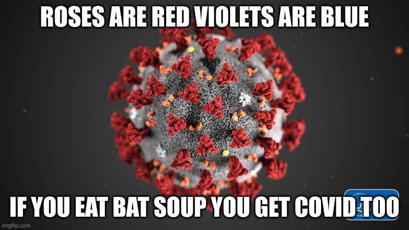 Gud rhyme? I am so positive and nice my doctor said so! | ROSES ARE RED VIOLETS ARE BLUE; IF YOU EAT BAT SOUP YOU GET COVID TOO | image tagged in covid 19 | made w/ Imgflip meme maker