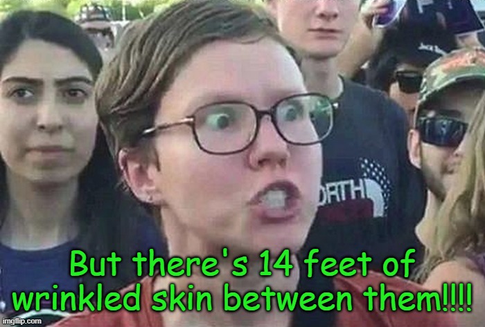 Triggered Liberal | But there's 14 feet of wrinkled skin between them!!!! | image tagged in triggered liberal | made w/ Imgflip meme maker