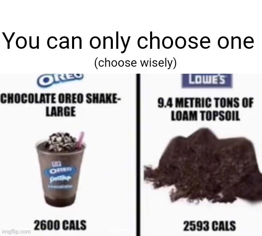 it's obvious |  You can only choose one; (choose wisely) | image tagged in blank white template,memes,choose wisely | made w/ Imgflip meme maker