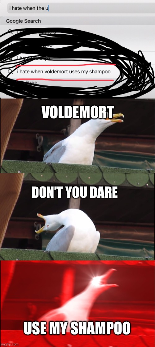 Inhaling Seagull Meme | VOLDEMORT; DON’T YOU DARE; USE MY SHAMPOO | image tagged in memes,inhaling seagull | made w/ Imgflip meme maker