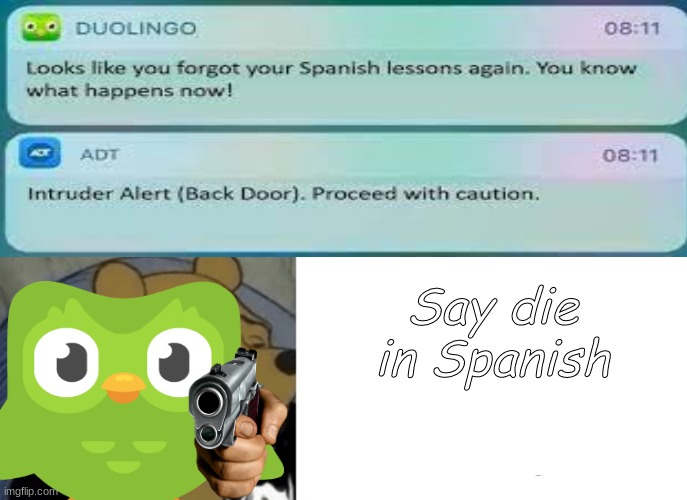 Hes here | Say die in Spanish | image tagged in doulingo bird | made w/ Imgflip meme maker
