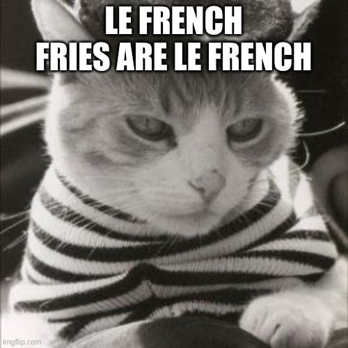 French Cat is French | LE FRENCH FRIES ARE LE FRENCH | image tagged in french cat is french | made w/ Imgflip meme maker