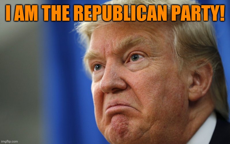 Angry Trump | I AM THE REPUBLICAN PARTY! | image tagged in angry trump | made w/ Imgflip meme maker