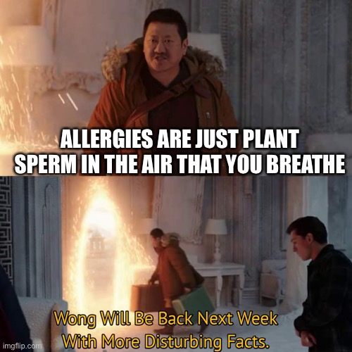 Wong Will Be Back Next Week With More Disturbing Facts. | ALLERGIES ARE JUST PLANT SPERM IN THE AIR THAT YOU BREATHE | image tagged in wong will be back next week with more disturbing facts | made w/ Imgflip meme maker