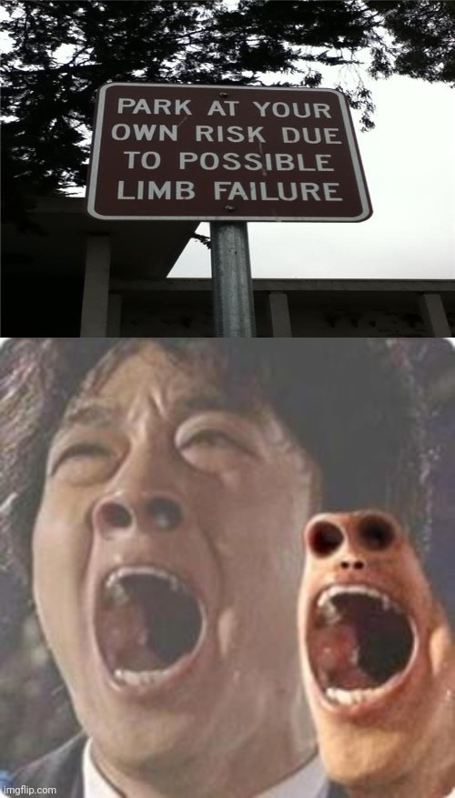 Due to possible limb failure | image tagged in aaaaaaaaaaaaaaaaaaaaaaaaaaaaaaaaaaaaaaaaaaaaaaaaaa,comments,comment section,memes,meme,comment | made w/ Imgflip meme maker