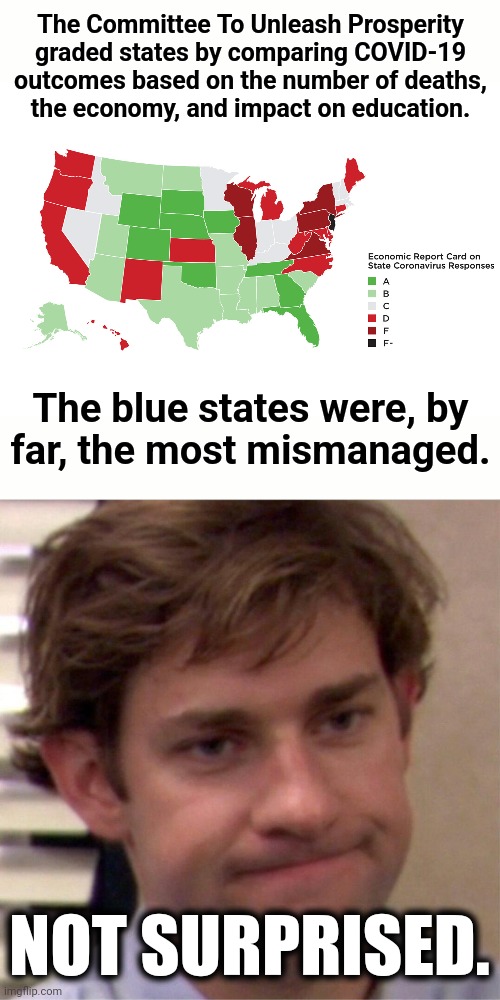 Not surprised |  The Committee To Unleash Prosperity graded states by comparing COVID-19 outcomes based on the number of deaths,
the economy, and impact on education. The blue states were, by
far, the most mismanaged. NOT SURPRISED. | image tagged in not surprised face,memes,democrats,covid-19,coronavirus,pandemic | made w/ Imgflip meme maker