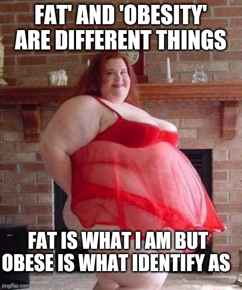 What liberals on 's*x and gender' sound like | FAT' AND 'OBESITY' ARE DIFFERENT THINGS; FAT IS WHAT I AM BUT OBESE IS WHAT IDENTIFY AS | image tagged in obese woman | made w/ Imgflip meme maker