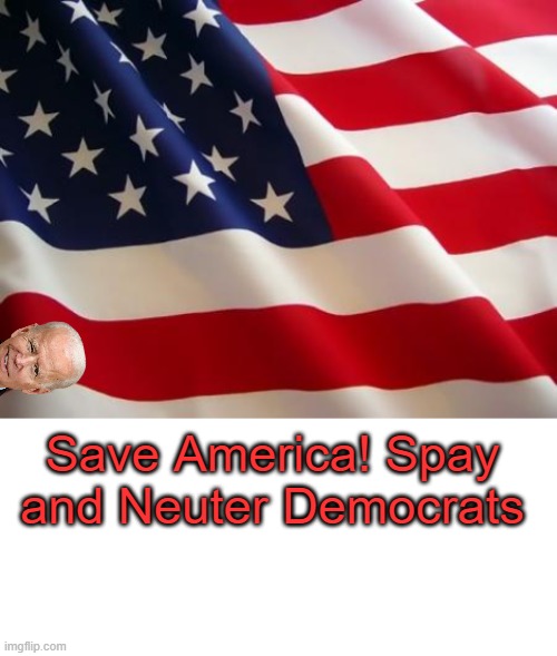 Fix the problem, fix your Democrat | Save America! Spay and Neuter Democrats | image tagged in american flag,blank white template | made w/ Imgflip meme maker
