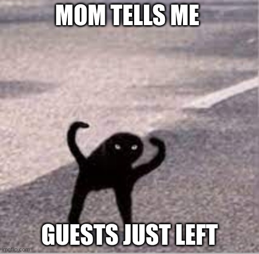 o no | MOM TELLS ME; GUESTS JUST LEFT | image tagged in cursed cat | made w/ Imgflip meme maker