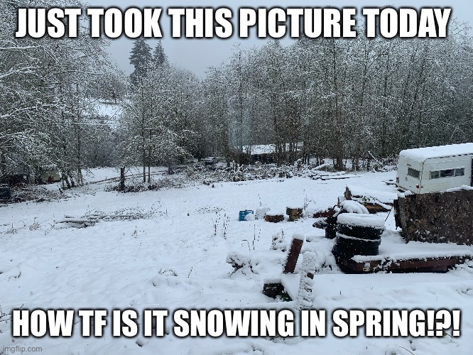 H O W | JUST TOOK THIS PICTURE TODAY; HOW TF IS IT SNOWING IN SPRING!?! | made w/ Imgflip meme maker