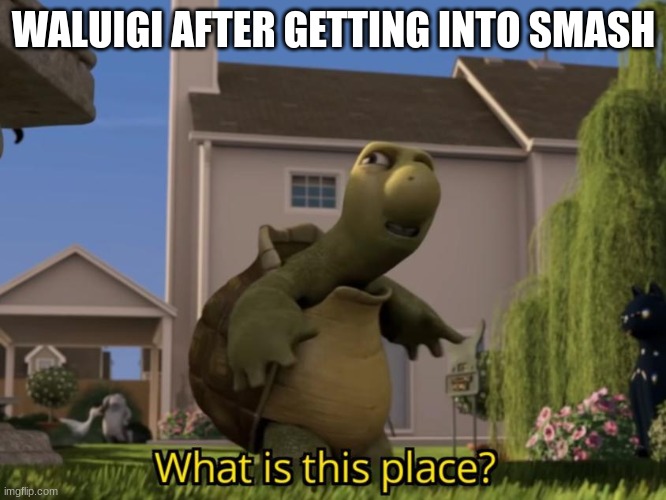What is this place | WALUIGI AFTER GETTING INTO SMASH | image tagged in what is this place | made w/ Imgflip meme maker