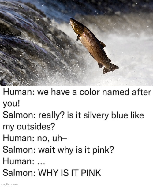 It's what's inside that counts. | image tagged in salmon,funny memes | made w/ Imgflip meme maker