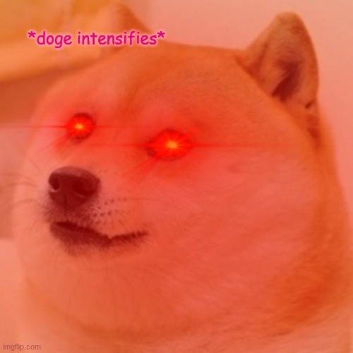 High Quality doge intensifies Blank Meme Template