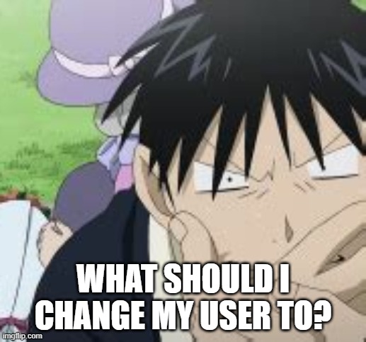 Roy Mustang | WHAT SHOULD I CHANGE MY USER TO? | image tagged in roy mustang | made w/ Imgflip meme maker