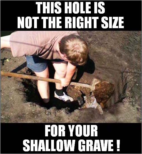 Cat Says 'Keep Digging' ! | THIS HOLE IS NOT THE RIGHT SIZE; FOR YOUR SHALLOW GRAVE ! | image tagged in cats,digging,shallow,grave | made w/ Imgflip meme maker