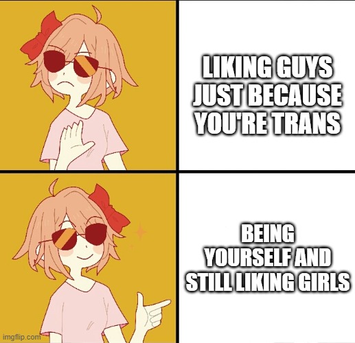 trans drake meme | LIKING GUYS JUST BECAUSE YOU'RE TRANS; BEING YOURSELF AND STILL LIKING GIRLS | image tagged in trans drake meme | made w/ Imgflip meme maker