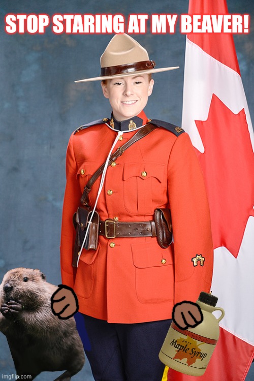 Oh Canada | STOP STARING AT MY BEAVER! | image tagged in oh canada,stop,staring,at my beaver,maple syrup | made w/ Imgflip meme maker